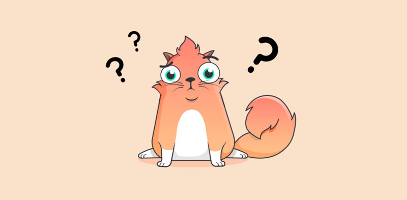 Confused Kittie