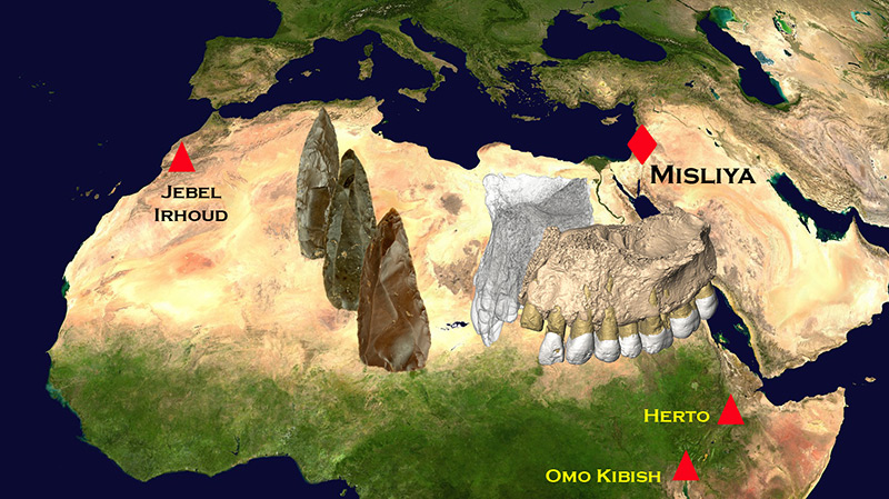 Georgrafischer Kontext: Die ältesten menschlichen Fossilfunde in Afrika und Eurasien