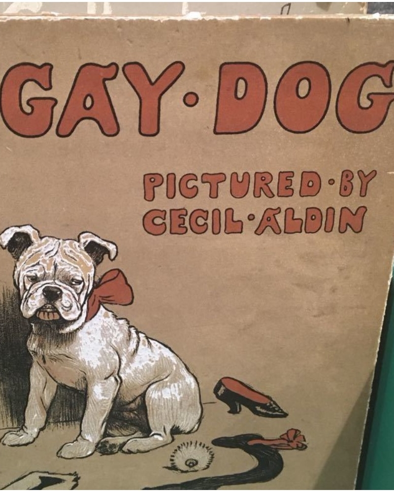 "A Gay Dog", the book