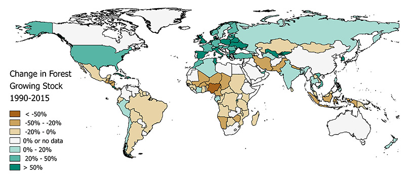 Weltkarte: Wo der Wald seit 1990 gewachsen und geschrumpft ist