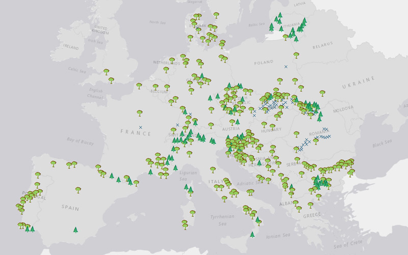 Karte der letzten Urwälder Europas (Ausschnitt)