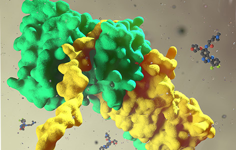 Illustration eines EGFR-Proteins