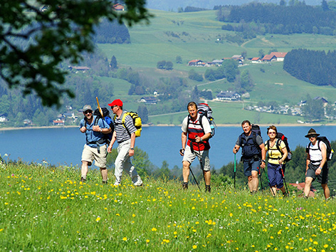 Eine Gruppe menschen wandert bergauf über eine Wiese.