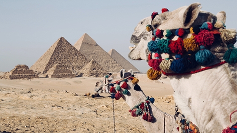 Ägypten, Zwei Kamele vor den Pyramiden