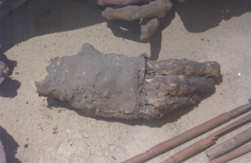 Stücke der Mumie aus Turin