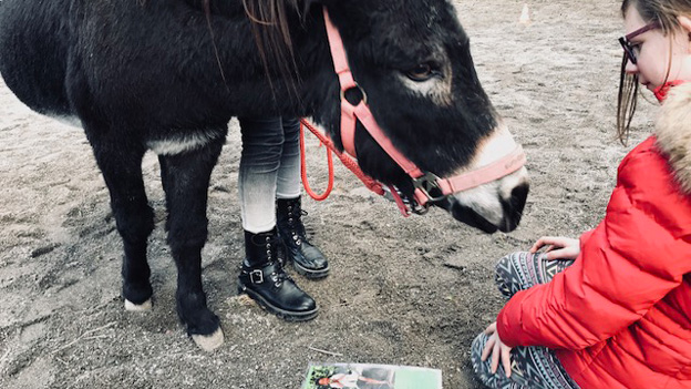 Lesen mit dem Esel – Tiergestütztes Lernen für lernschwache Kinder