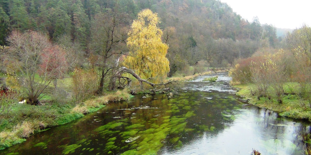 Bilder vom Staudamm am Fluss Kamp, dem Fluss selbst und Umweltschützern