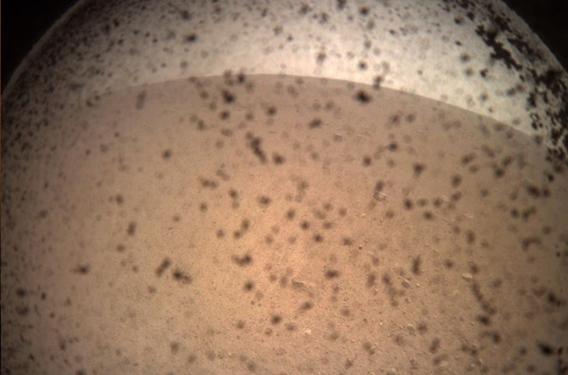 Das erste Foto von "InSight" auf dem Mars