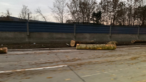 Holzstämme auf der Südautobahn