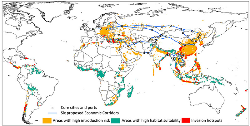 Weltkarte mit Handelswegen und ökologischen Risikozonen