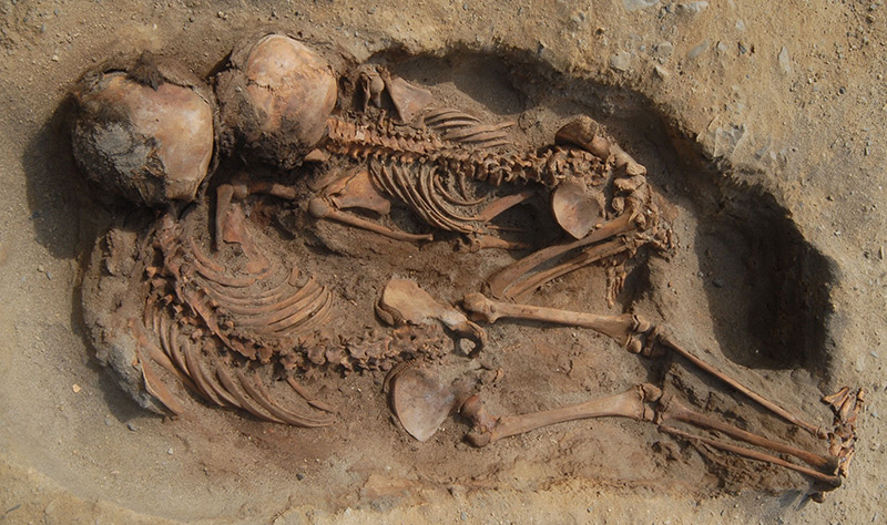 Knochen aus dem Kindergrab in Peru