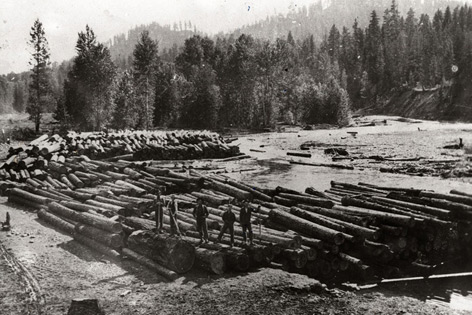 Historische Aufnahme: Transport von Baumstämme