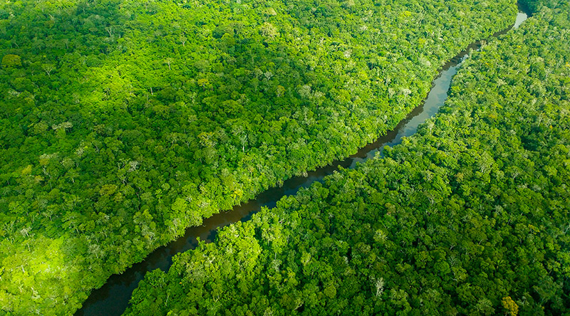 Luftaufnahme: Amazonas-Regenwald