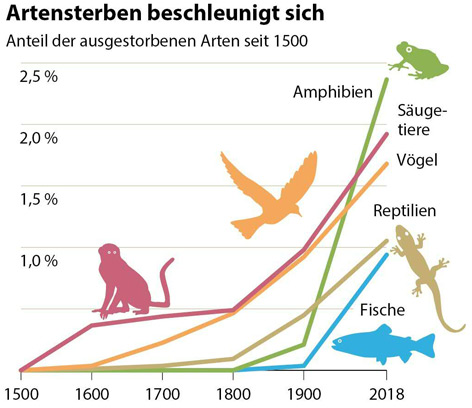 Grafik - Anteil der ausgestorbenen Arten seit 1500 bei Amphibien, Säugetieren, Vögeln, Reptilien und Fischen