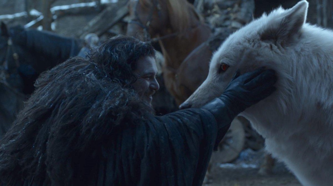 Jon Snow und sein Wolf Ghost