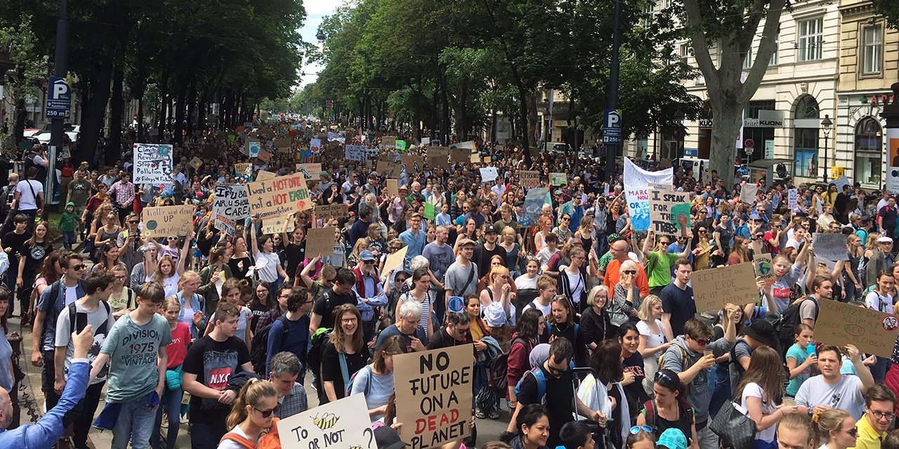 Klimastreik Fridays for Future in Wien 31.5.2019