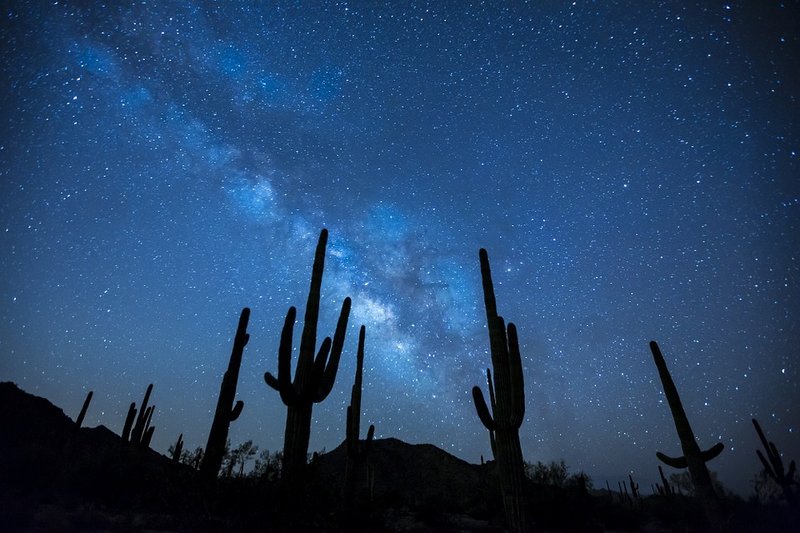 The Milky Way, as seen from a desert with cacti