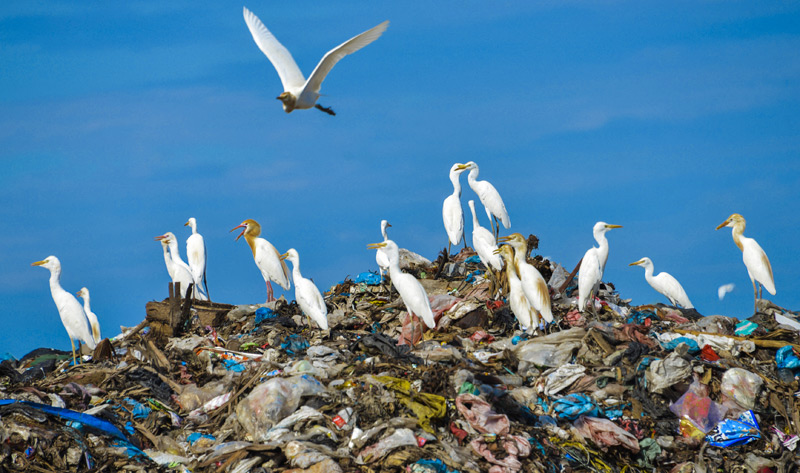 Müllhalde in Indonesien