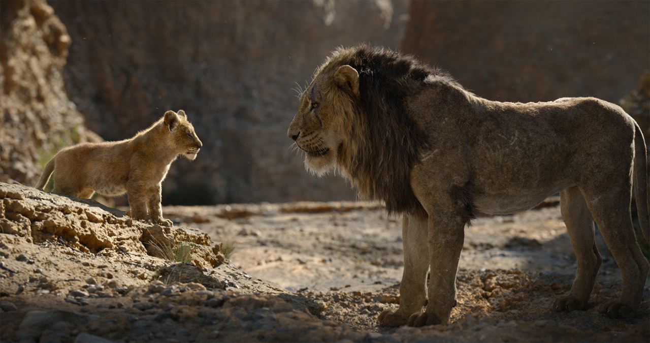 "The Lion King" Filmstills