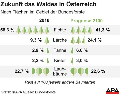Grafik zum Wald in Österreich