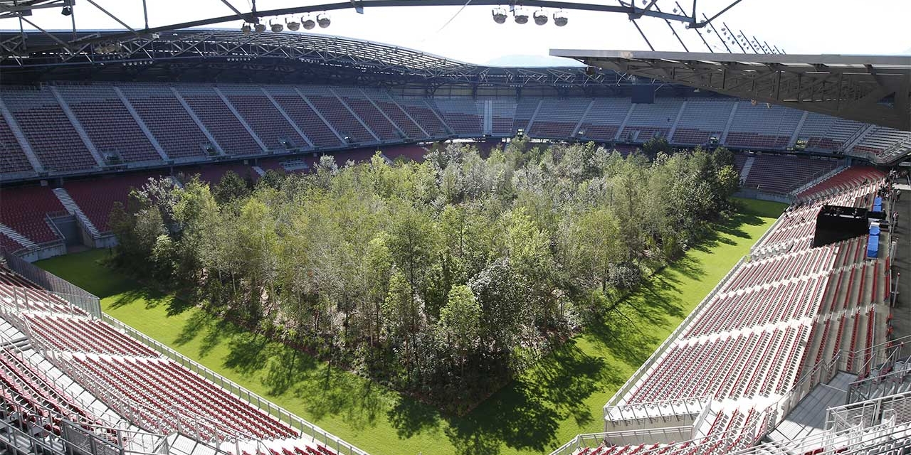 Wald im Wörthersee Stadion