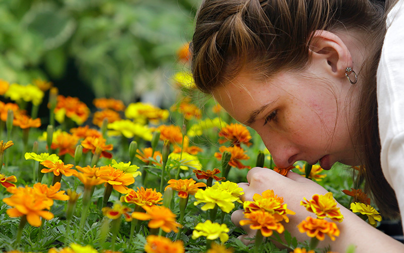Eine Frau riecht an einem Blumenbeet