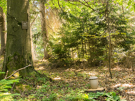Eine Urne im "Klosterwald"
