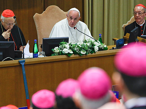 Papst Franziskus und Synodenteilnehmer