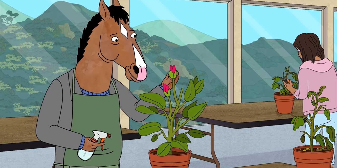 Pferd BoJack wässert eine Zimmerpflanze