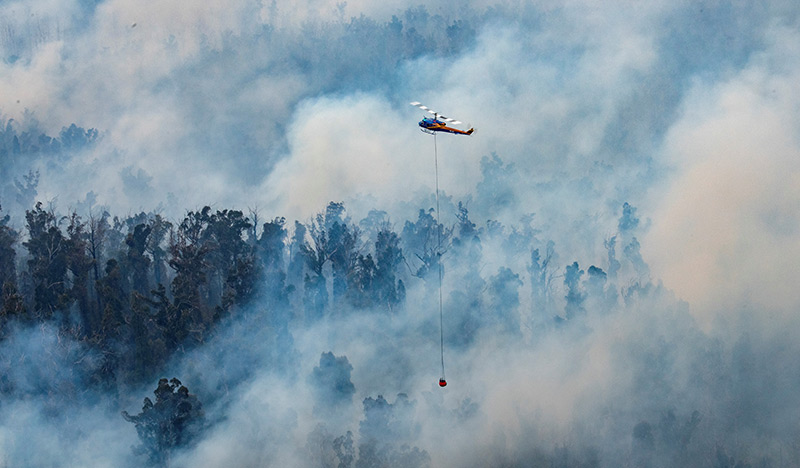 Dichte Rauchsäulen steigen im Wald auf: Hubschrauber im Löscheinsatz