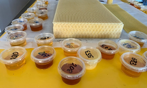 diverse Honigsorten in Bechern