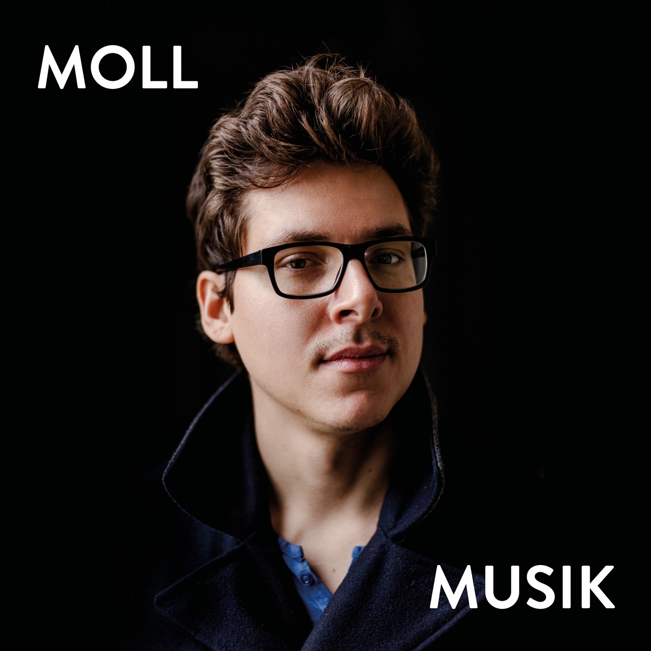 Cover des Debütalbums "Musik" von Lukas Meschiks neuen Projekts Moll