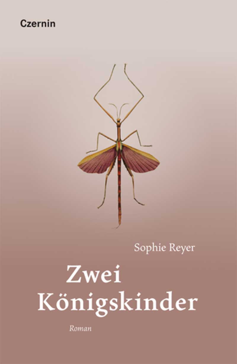Buchcover "Zwei Königskinder" mit einer Balettanzenden Libelle drauf