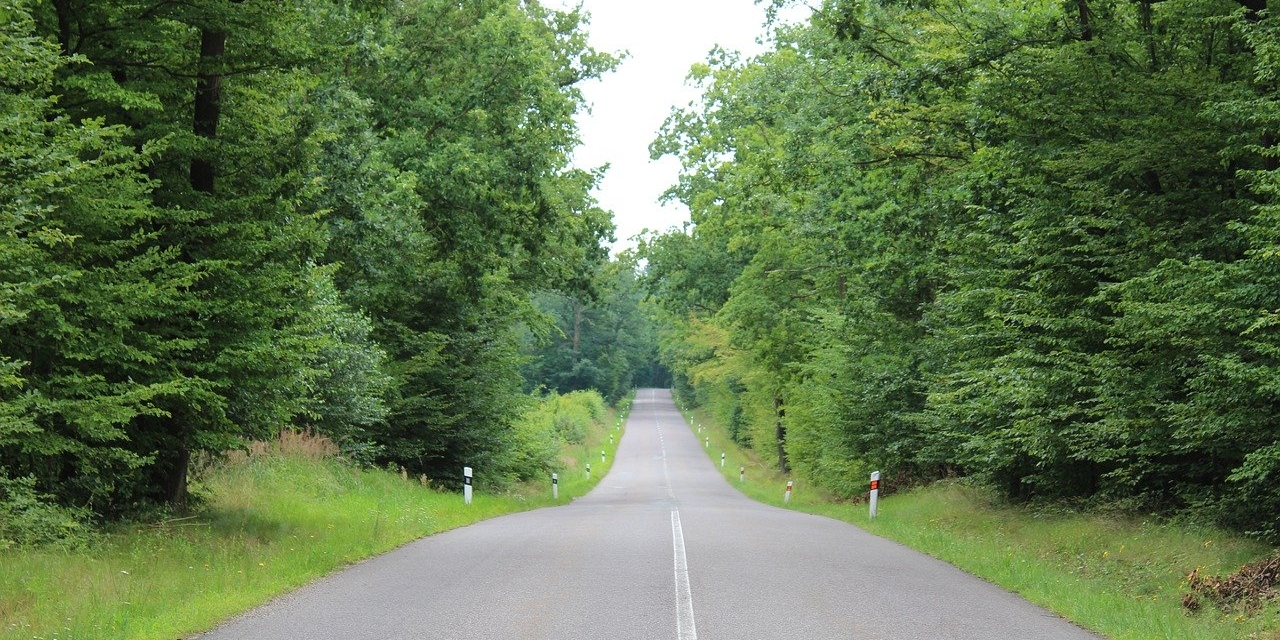 Eine leere Landstraße durch den Wald