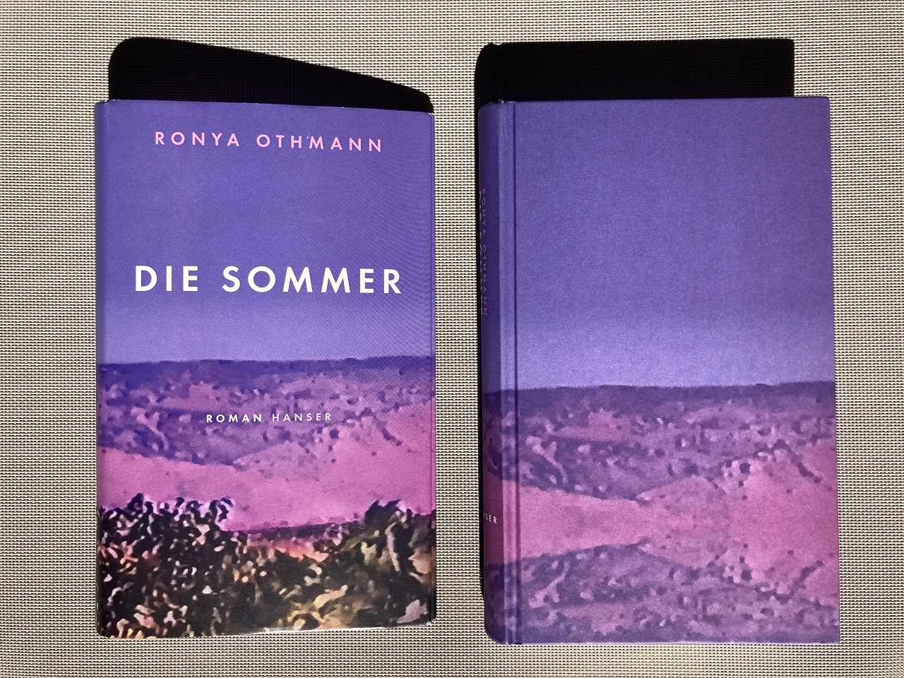 Das Buchcover und der Einband des Romans "Die Sommer" von Ronya Othmann ist eine Landschaft.