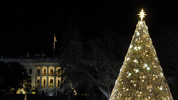 Christbaum vor dem Weißen Haus