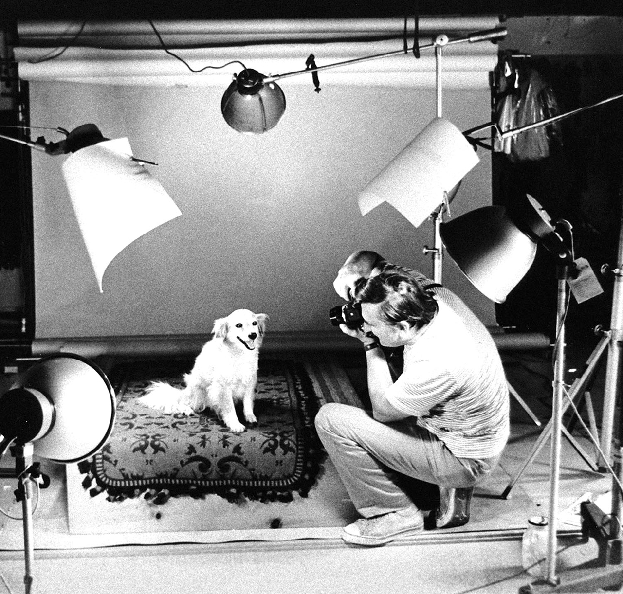 Chandoha in the studio with his rescue dog, 1975