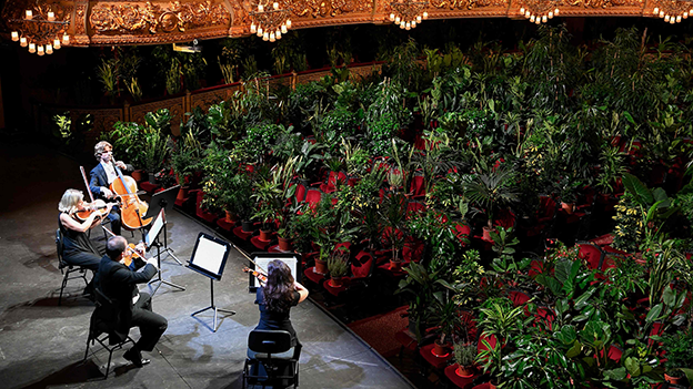 Konzert für Topfpflanzen während der Corona Pandemie 2020 im Liceu Grand Theatre in Barcelona