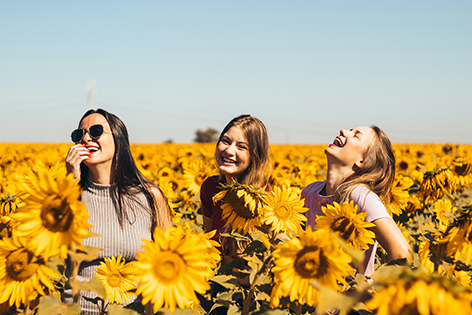 Lachende Frauen in einem Sonnenblumenfeld