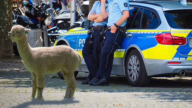 Polizisten in München mit Alpakas auf Streife