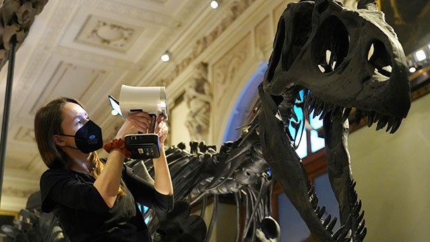 3D-Scan eines T-Rex-Kopfes