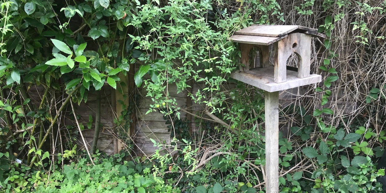 Vogelhäuschen in englischem Garten