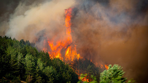 Brände in Nordmazedonien