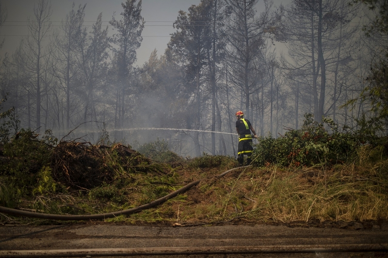 Feuerwehrmann vor ausgebranntem Wald in Griechenland