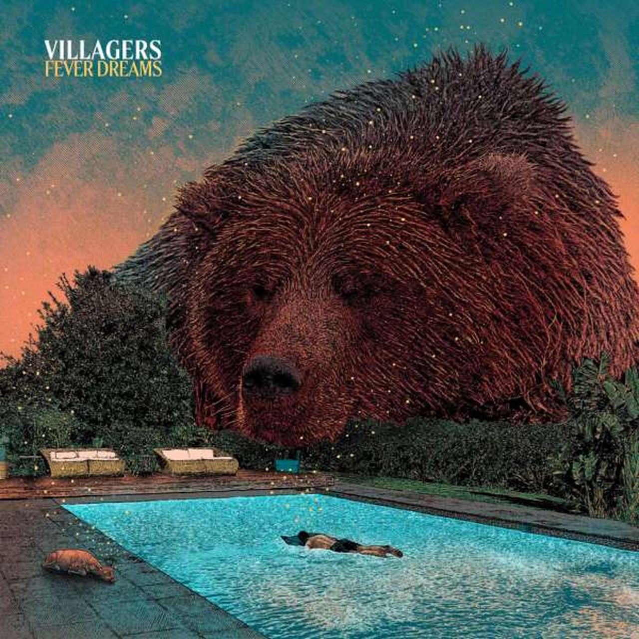 Villagers und sein neues Album "Fever Dreams"