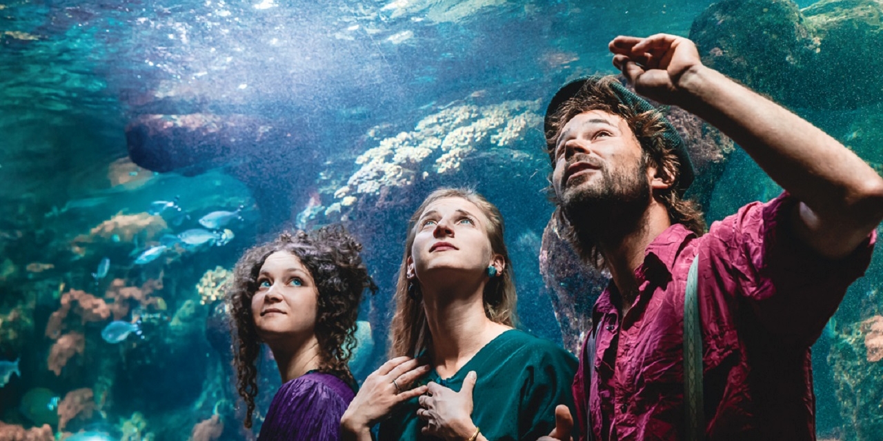 Das Folk-Pop-Trio Alpine Dweller im Haus des Meeres in Wien