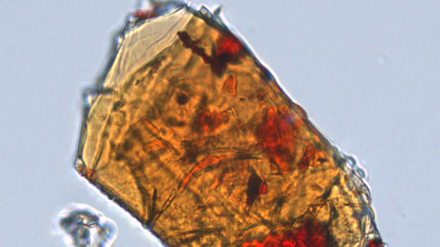 Mikroskop-Aufnahme von Kahlenbergit (Größe ca. 0,1 Millimeter)
