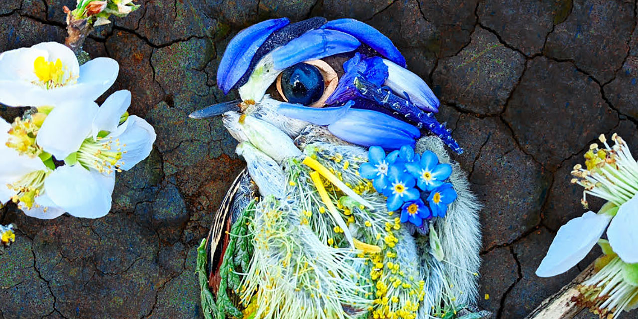 Ein blauer Vogel aus Blüten gebastelt