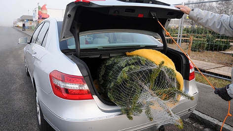 Weihnachtsbaum im Auto