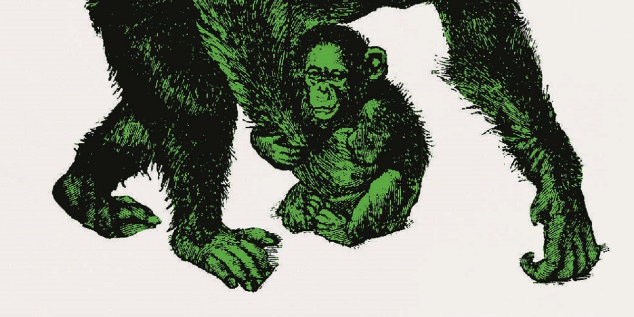 Cover-Ausschnitt aus "Bonobo Moussaka"